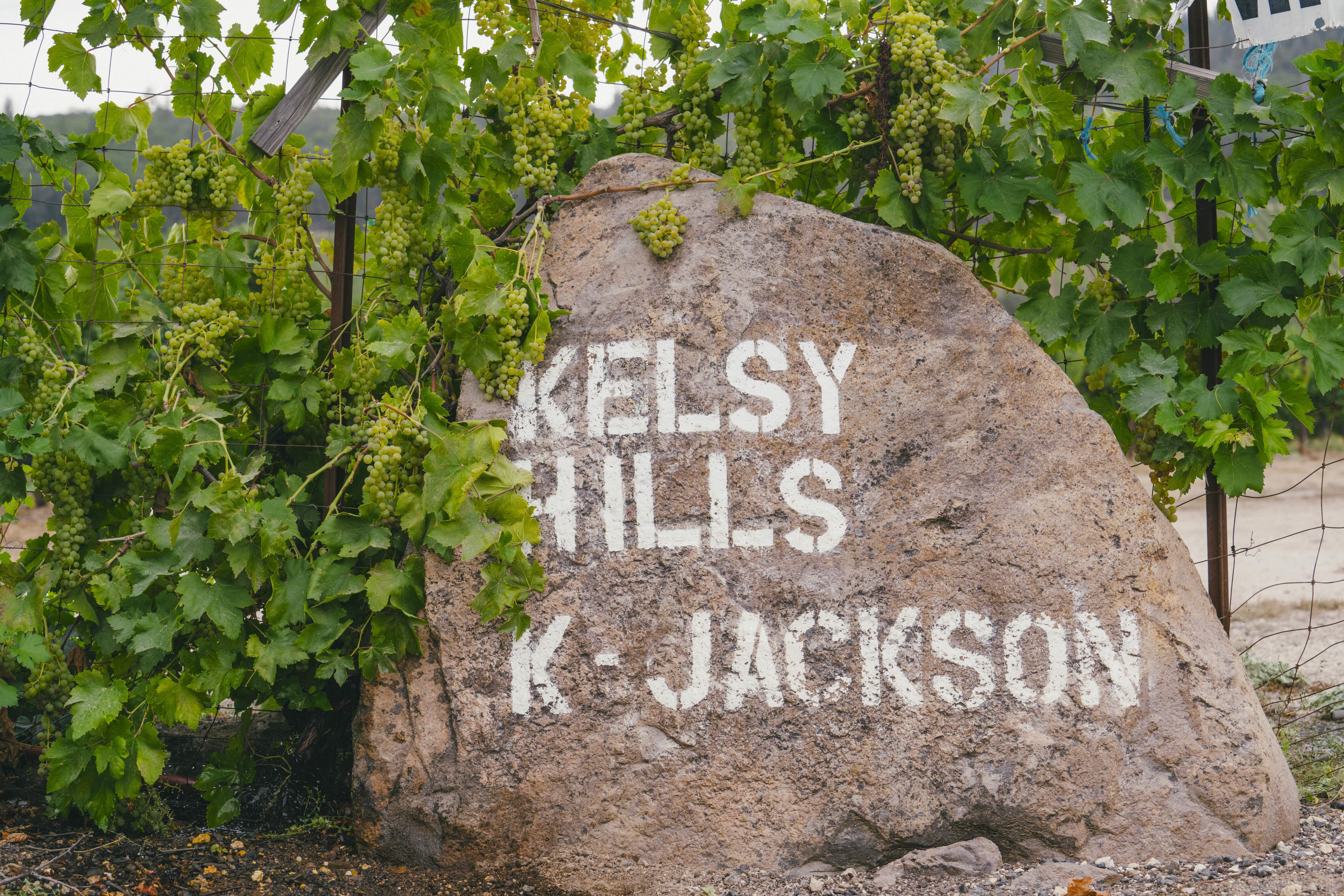 Kelsey Hills Vineyard, Lake County, California